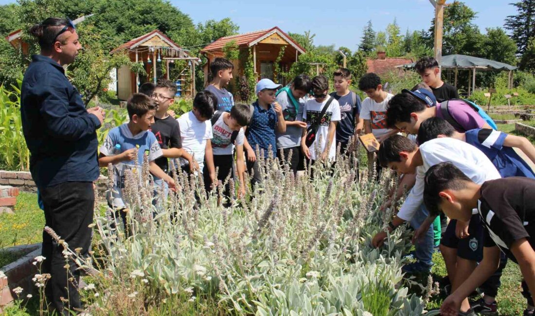 TEPEBAŞI BELEDİYESİ TARAFINDAN ÇOCUKLARIN