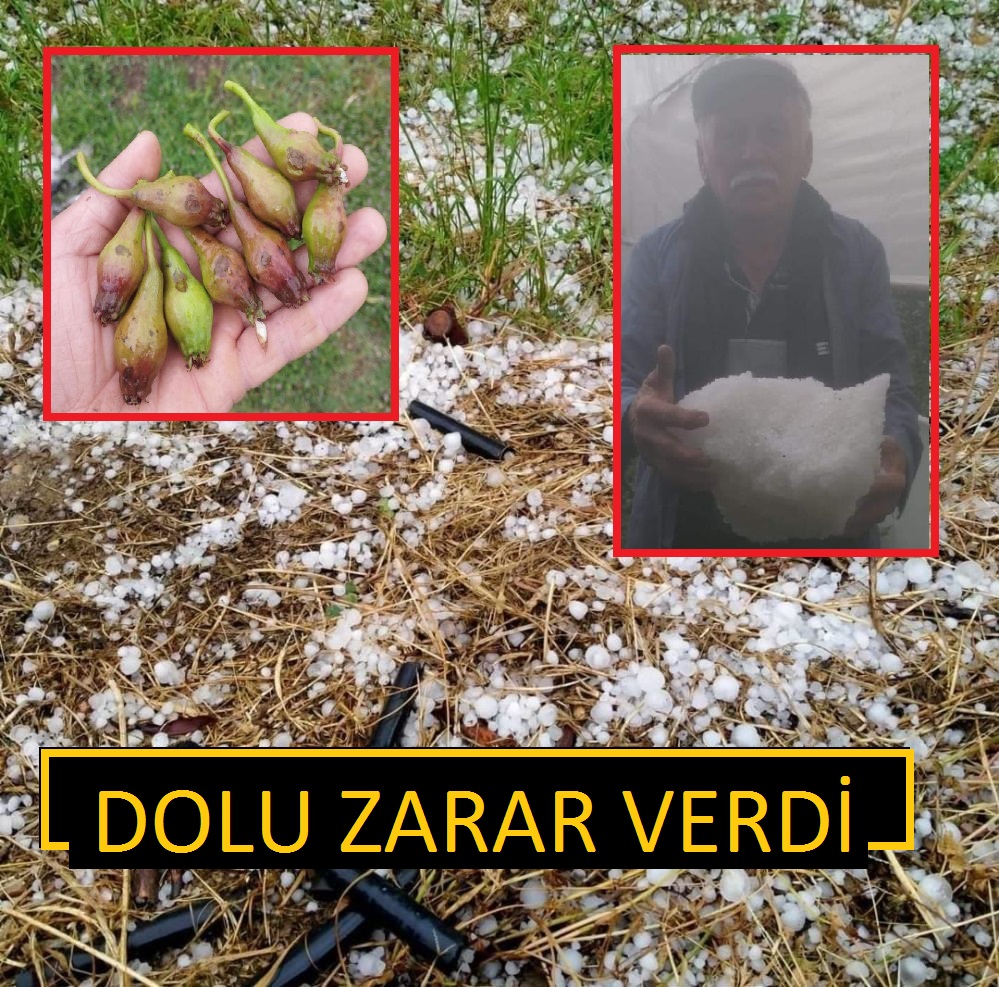 Dolu yağışı İnegöl’de meyve ve sebzelere zarar verdi