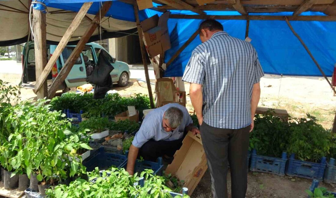 ADANA’NIN KOZAN İLÇESİNDE KENDİ