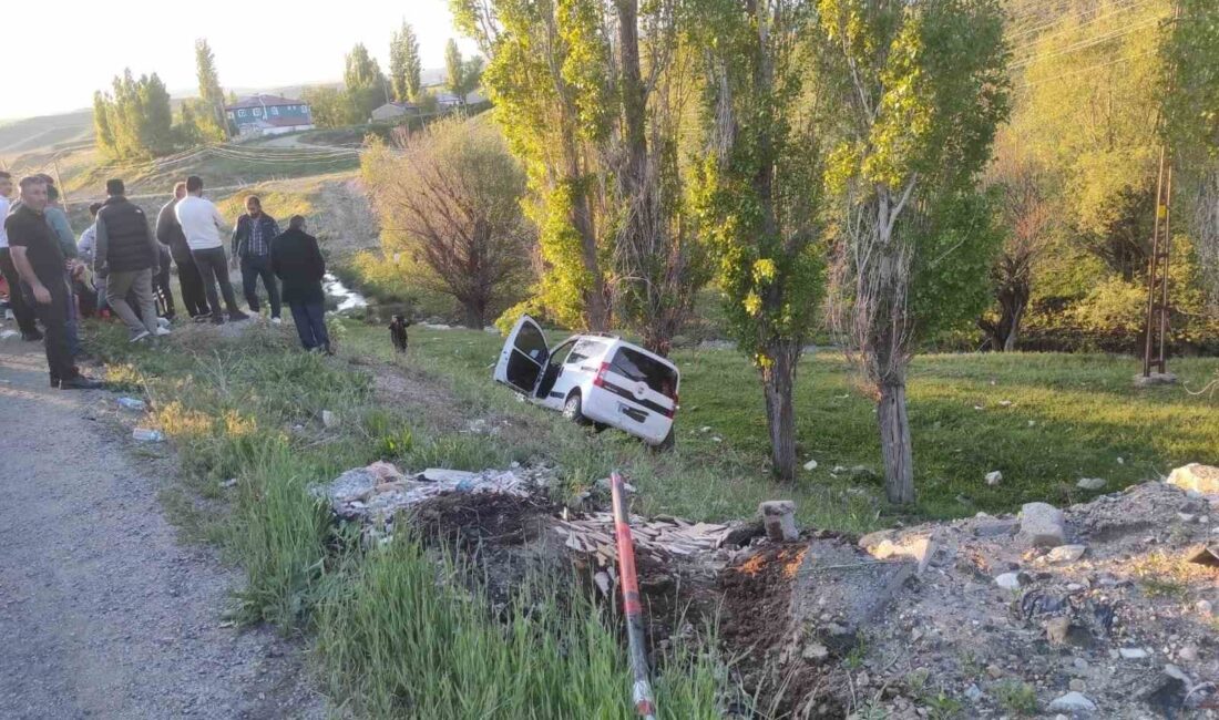 AĞRI’DA YOLAN ATLAYAN İNEK