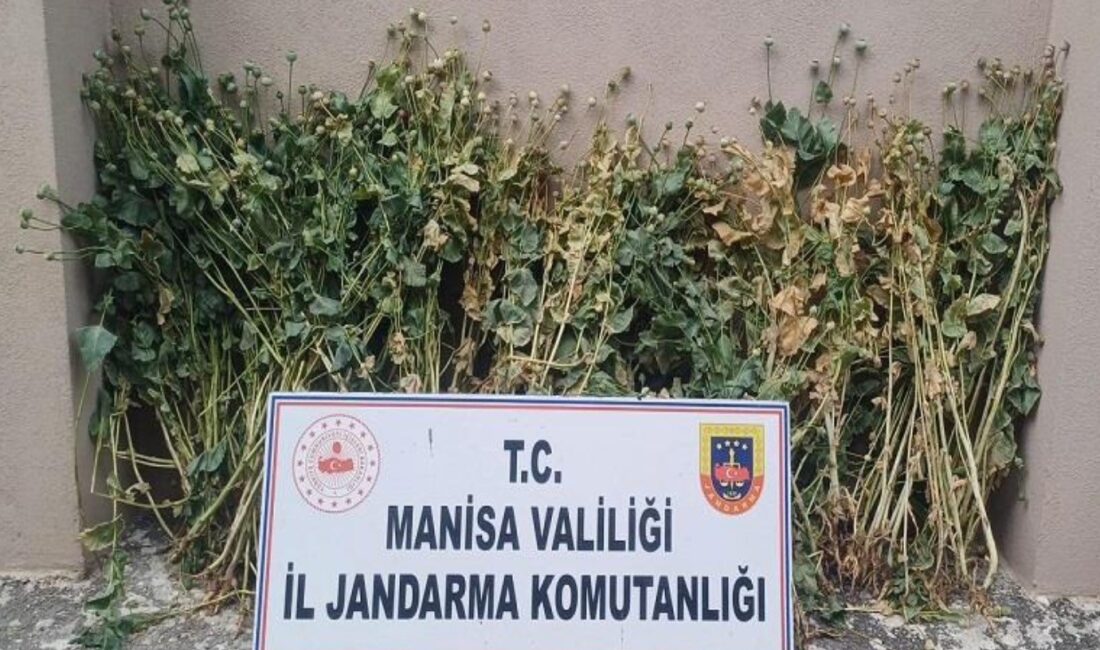 AKHİSAR İLÇE JANDARMA KOMUTANLIĞI