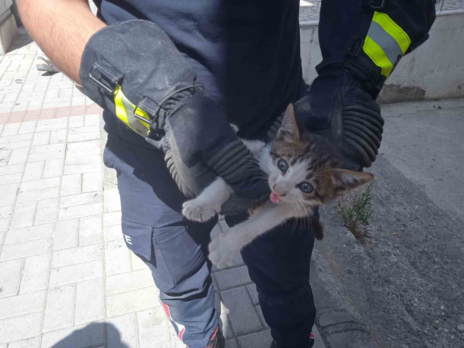 Alanya’da motosikletin içine sıkışan kedi 15 dakikalık çalışmayla kurtarıldı