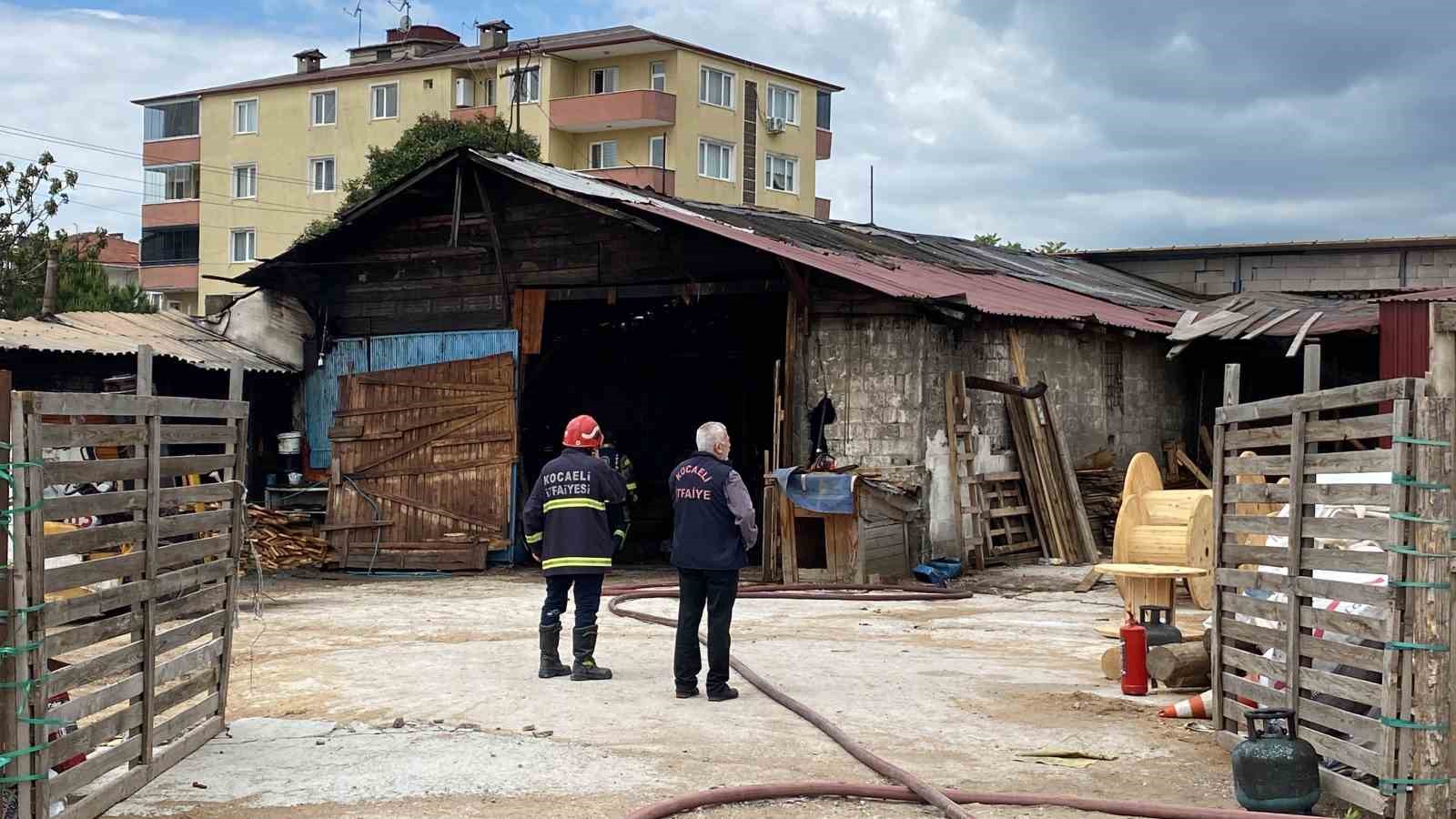 Alevlerden kaçarken yola fırlayan kedinin imdadına yetişti