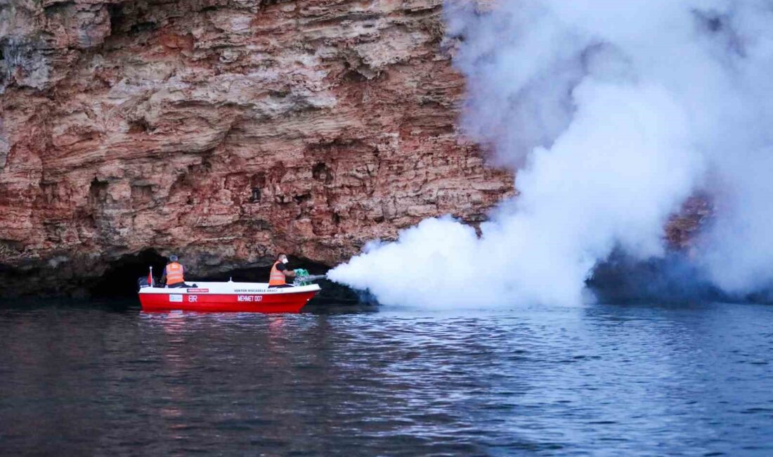 ANTALYA BÜYÜKŞEHİR BELEDİYESİ, YAZ