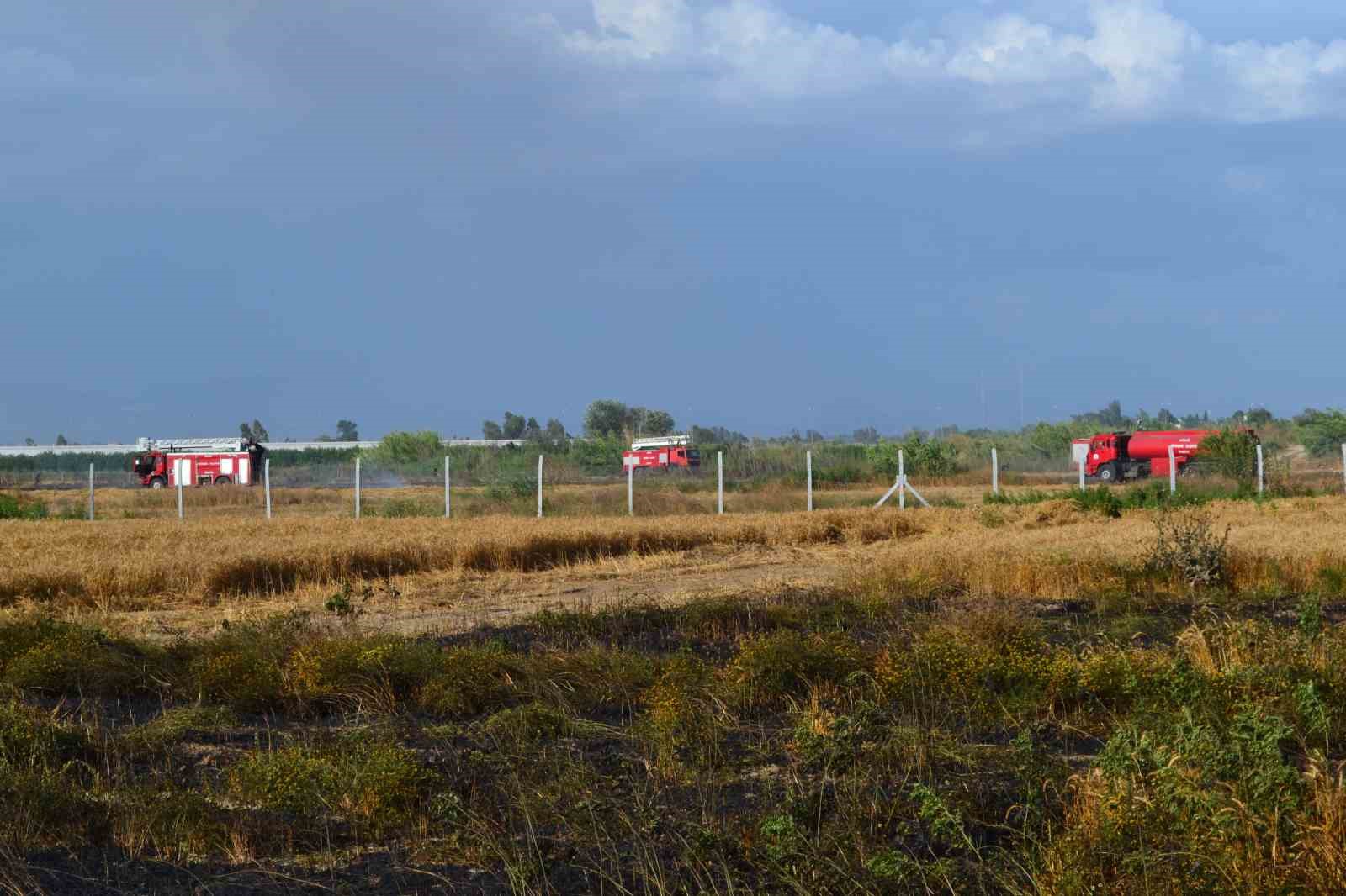 Antalya’da 250 dekarlık buğday tarlası hasat yapılamadan kül oldu