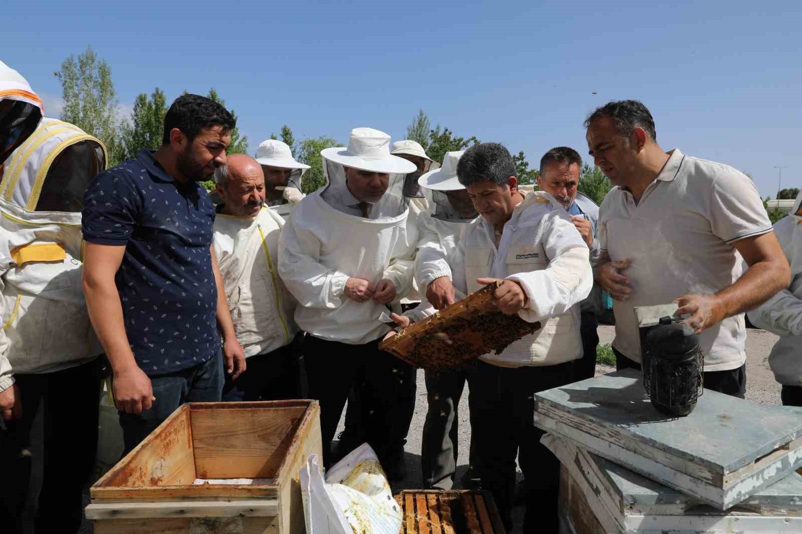 Arı yetiştiricilerine uygulamalı eğitim