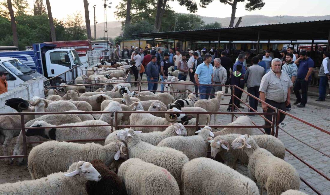 KURBAN BAYRAMI'NA SAYILI GÜNLER