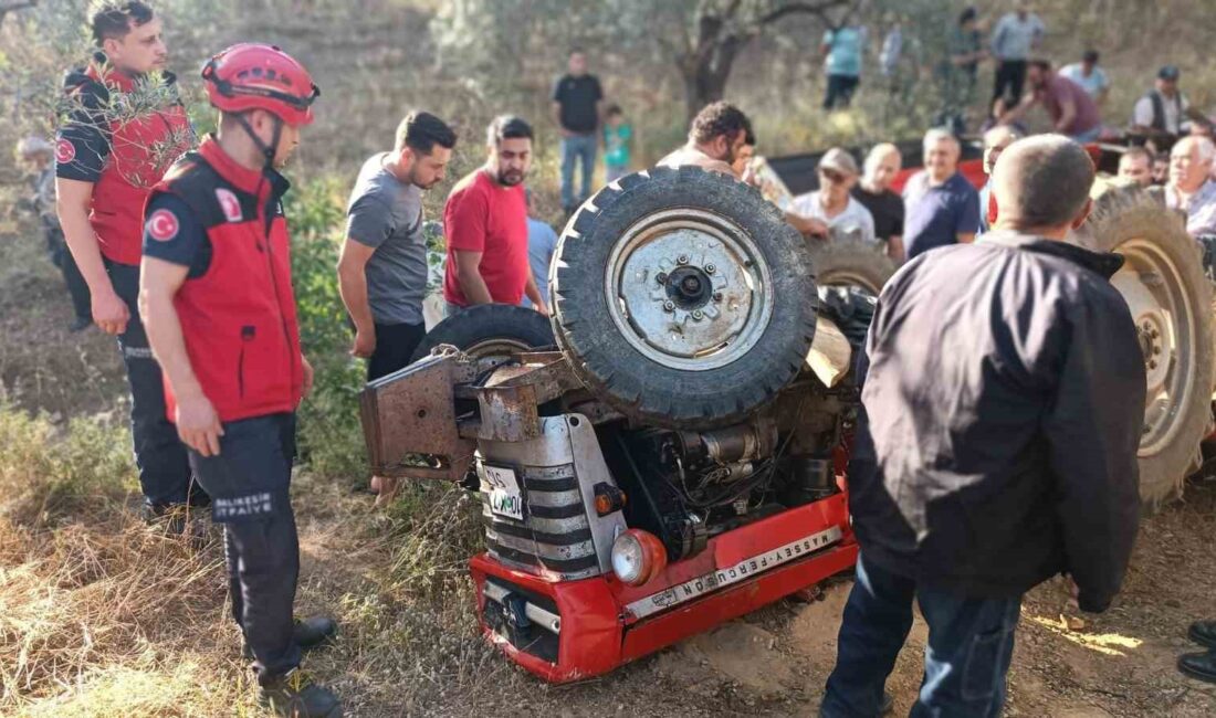 BALIKESİR'İN EDREMİT İLÇESİNDE TAKLA