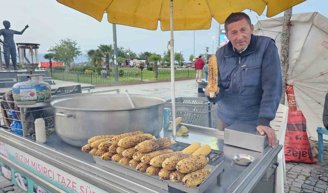 BALIKESİR'İN BANDIRMA İLÇESİNDE SÜT