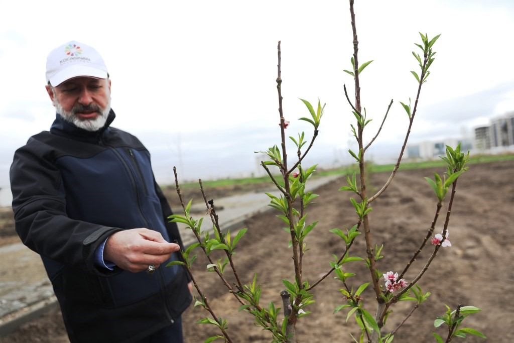 Başkan Çolakbayrakdar: “Kayseri’nin ilk meyve bahçeli parkı ile çocuklar dalından meyve yeme imkanı bulacak”