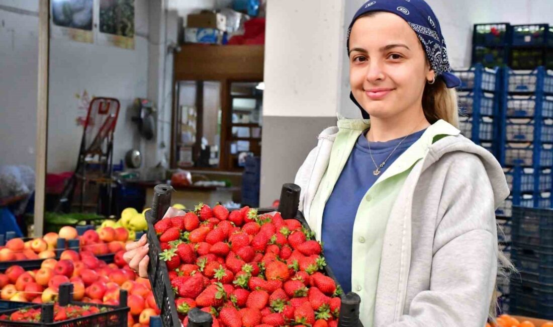 HAL MÜŞTERİSİ BETÜL ATAÇ,