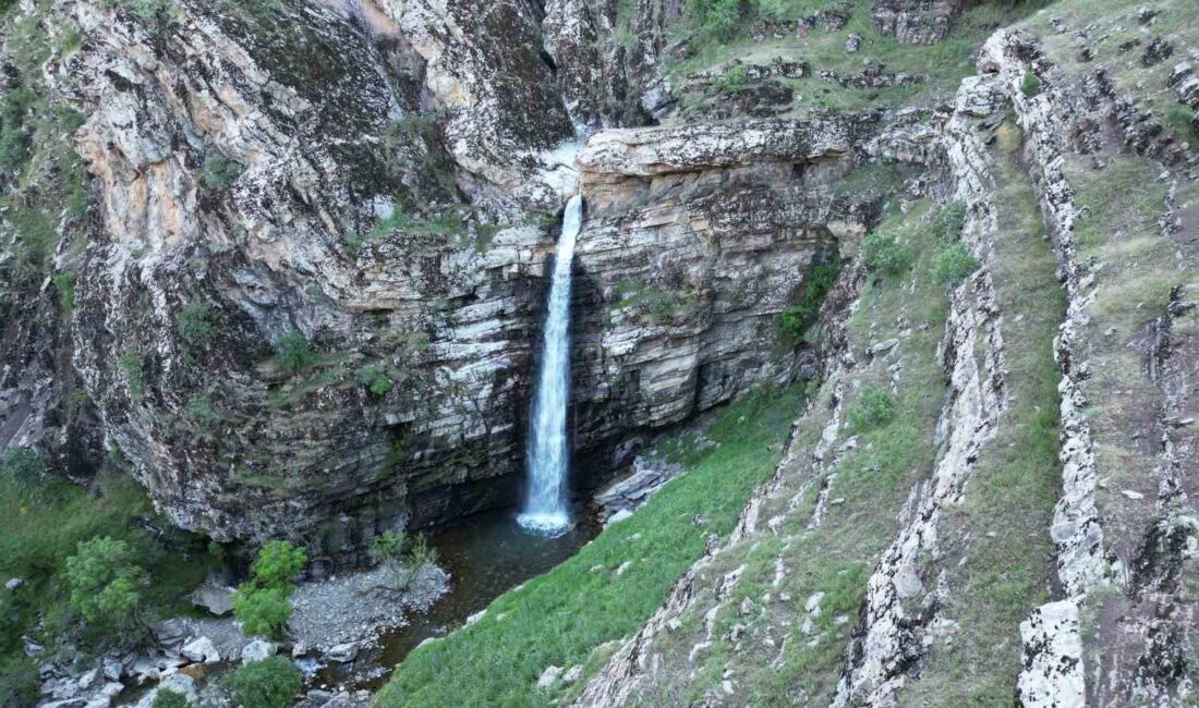 ŞIRNAK'IN BEYTÜŞŞEBAP İLÇESİNDE 50