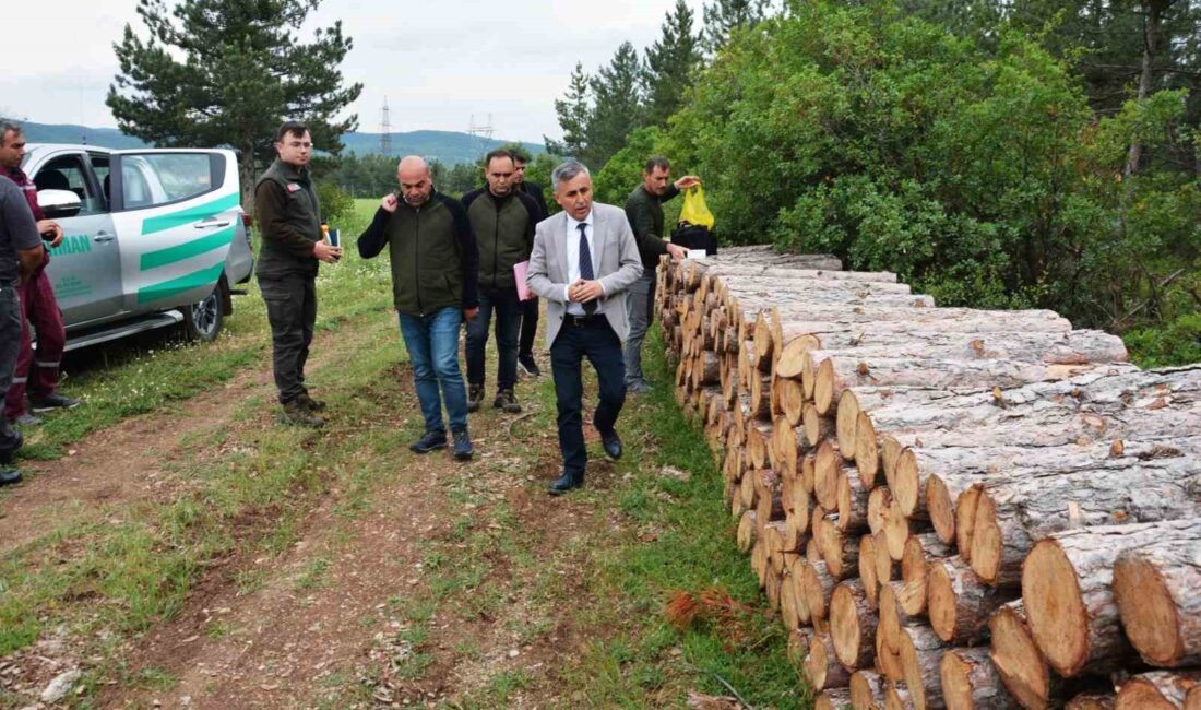 BÖLGE MÜDÜRÜ ERDAL DİNGİL,