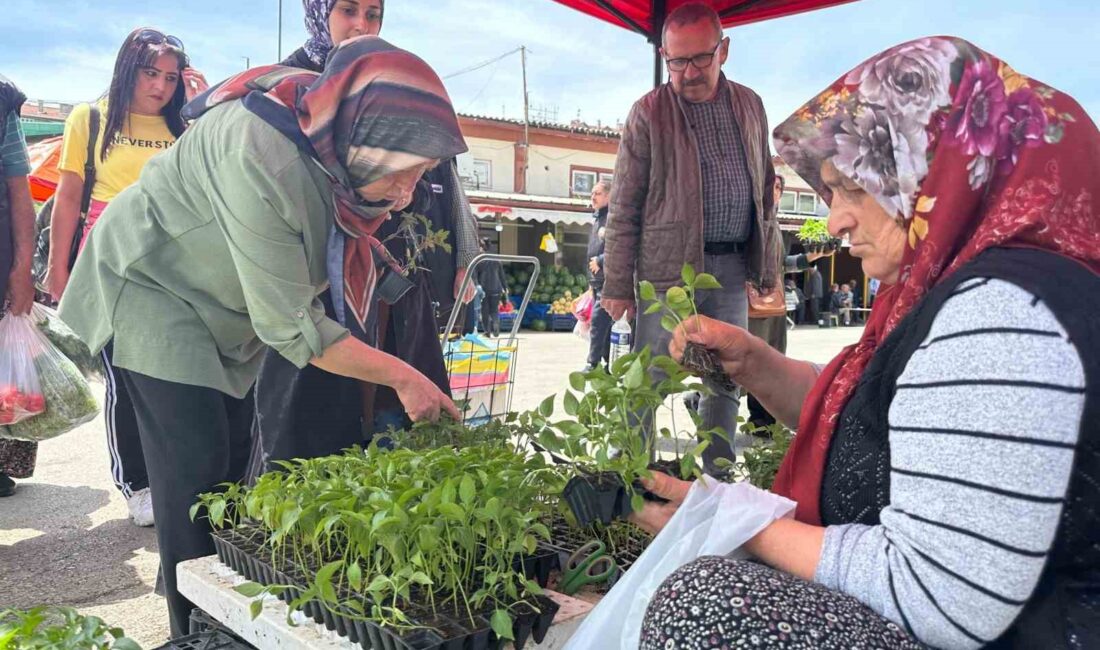 BOLU BELEDİYESİ TARAFINDAN ÜRETİLEN