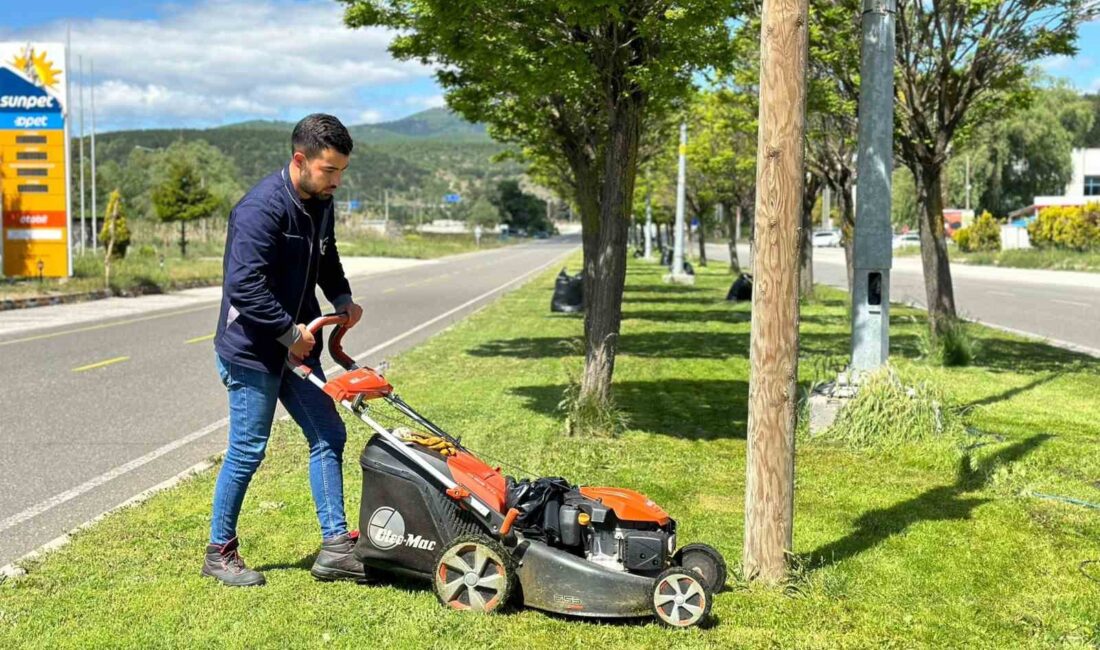 BOZÜYÜK’TE YEŞİL ALANLARDA ÇALIŞMALAR