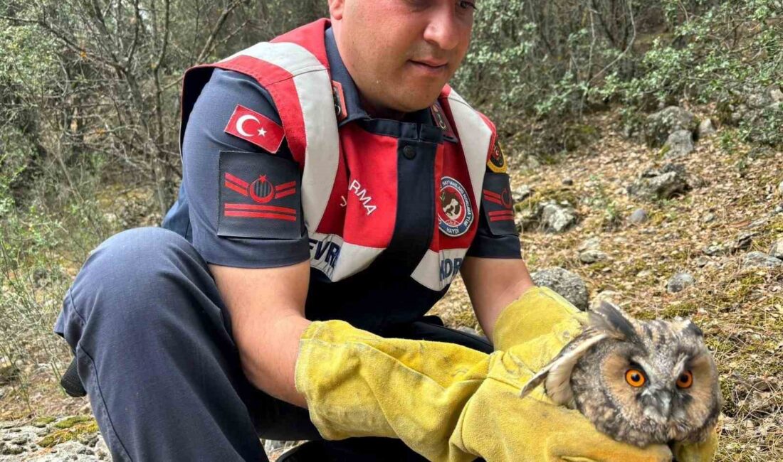 V BURDUR’UN ALTINYAYLA’ İLÇESİNDE