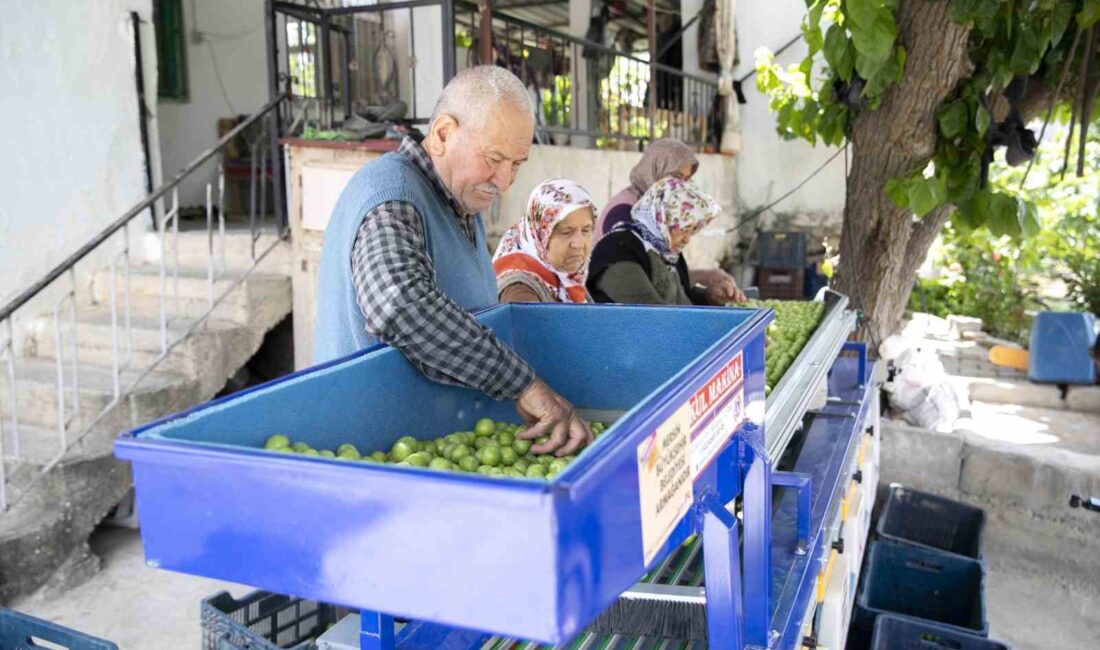 MERSİN BÜYÜKŞEHİR BELEDİYESİ TARIMSAL