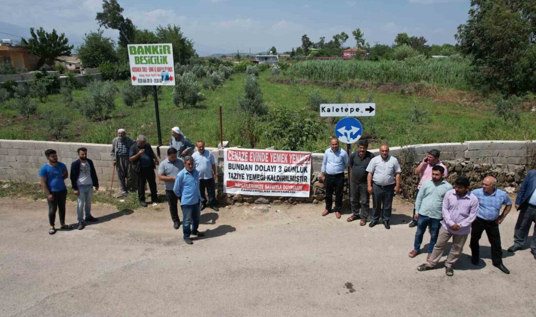 HATAY’IN KIRIKHAN İLÇESİ CAMUS