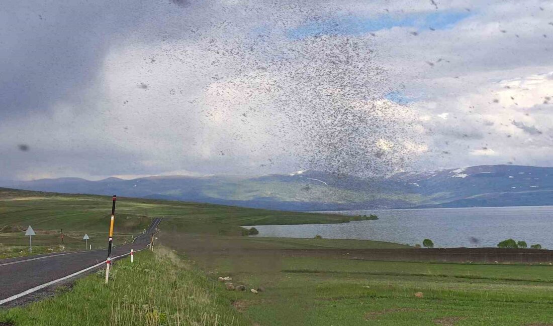 ÇILDIR GÖLÜ'NDE HAVALARIN ISINMASIYLA