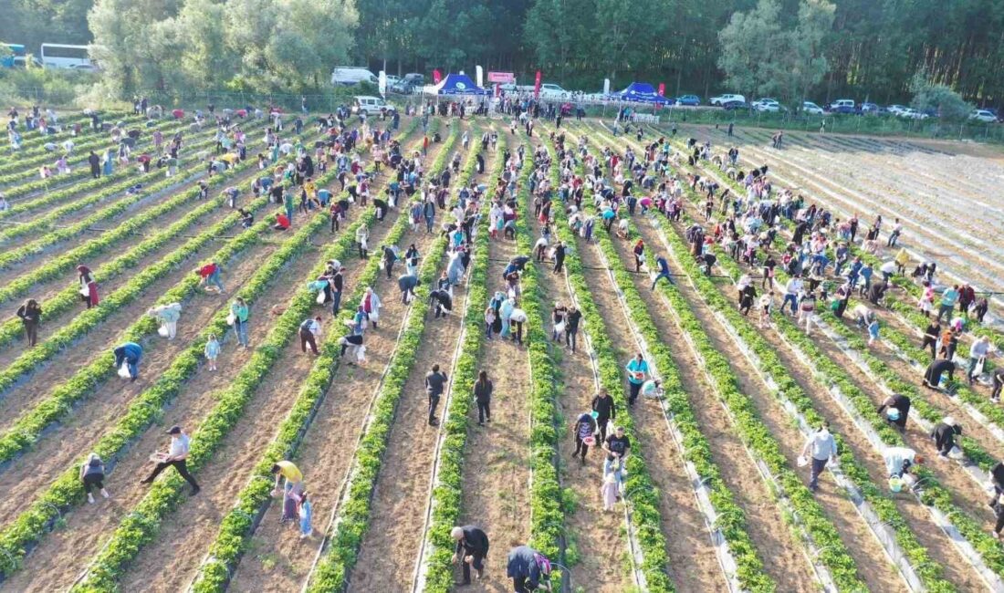 İZMİT ÇAYIRKÖY'DE HAYATA GEÇİRİLEN