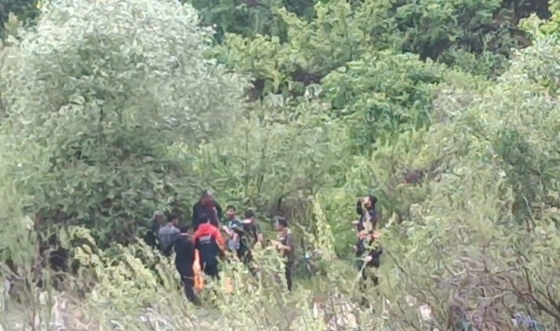 HAKKARİ'NİN OĞUL KÖYÜ YAKINLARINDAKİ