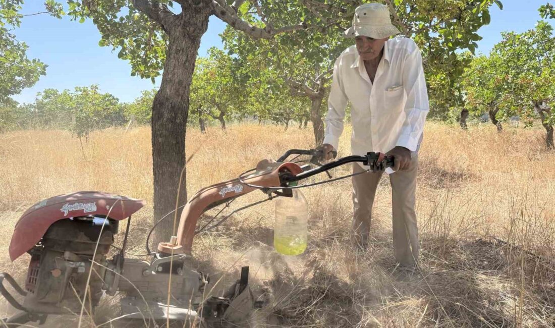 MARDİN’İN KIZILTEPE İLÇESİNDE YAŞAYAN