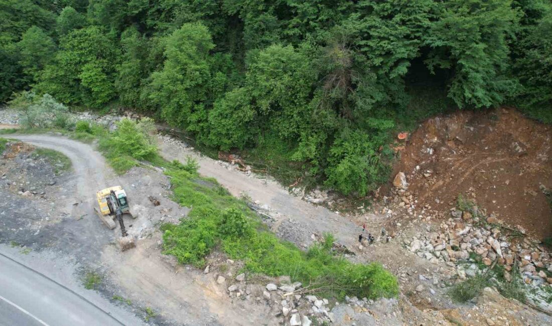 ZONGULDAK’TA YÜKLENİCİ FİRMANIN DERE