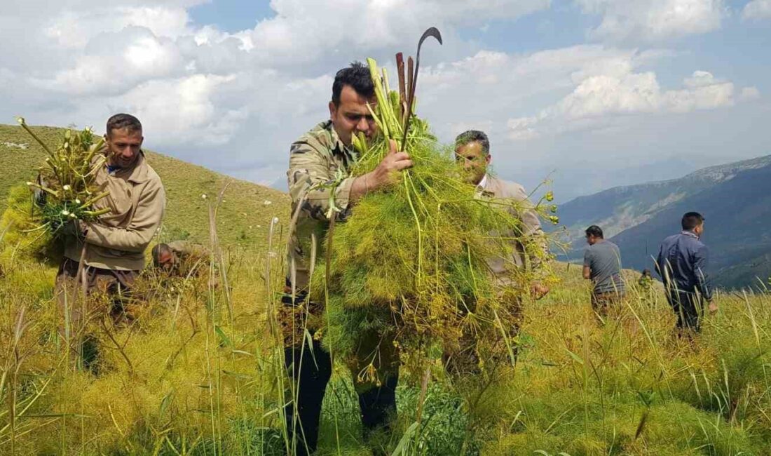 HAKKARİ’NİN DERECİK İLÇESİNDE VATANDAŞLAR,