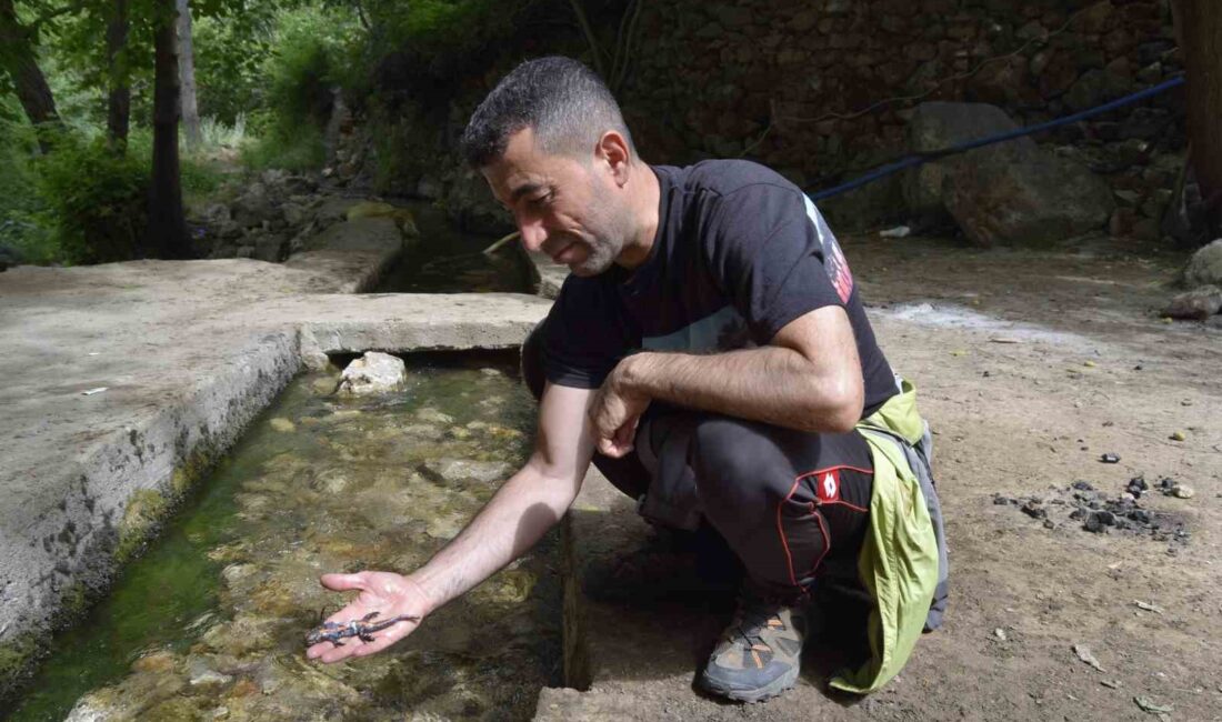 DİYARBAKIR'IN DİCLE İLÇESİNDE "TÜRK