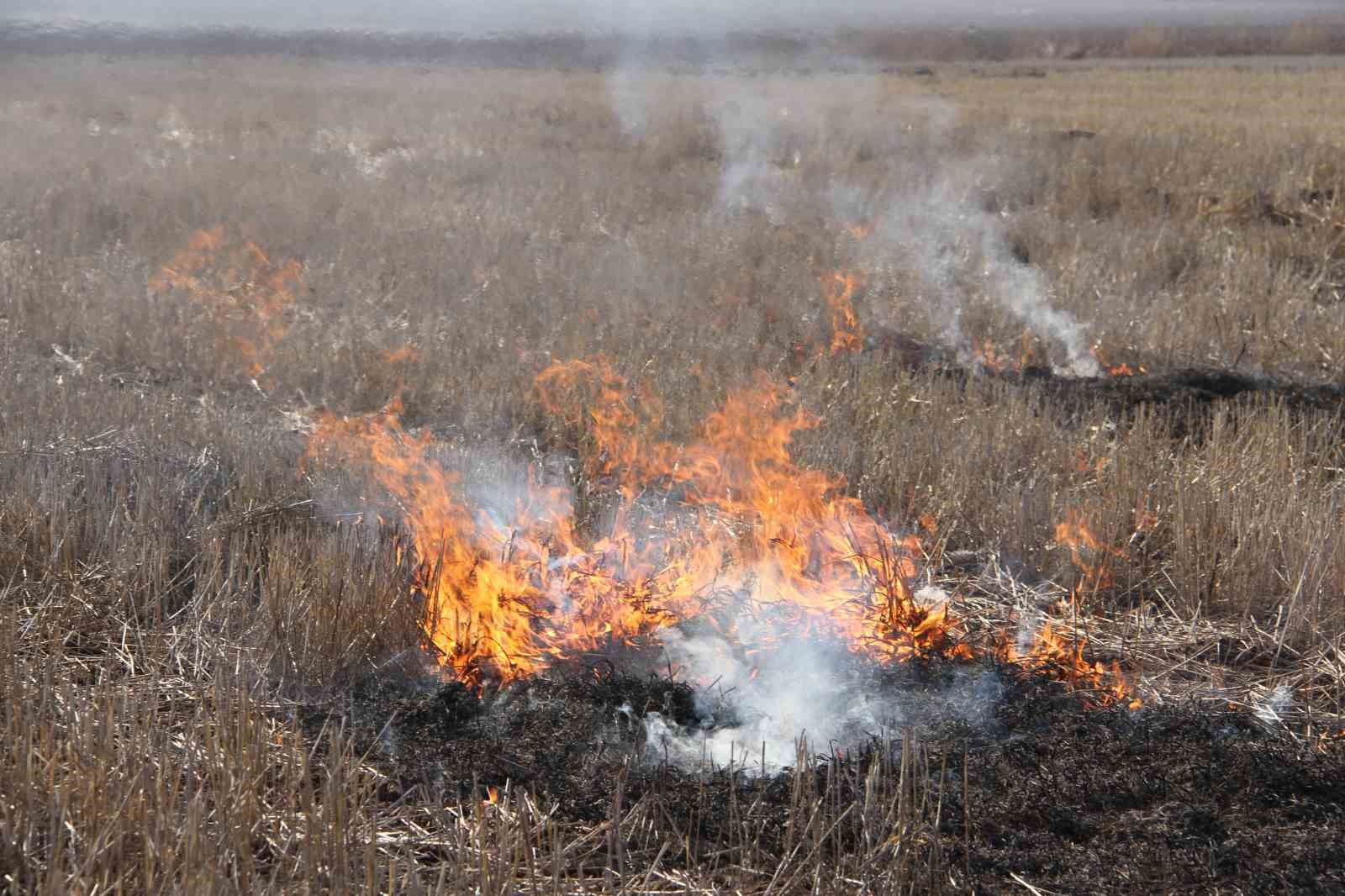 Diyarbakır’da anız yakanlara dekar başı 386 lira ceza