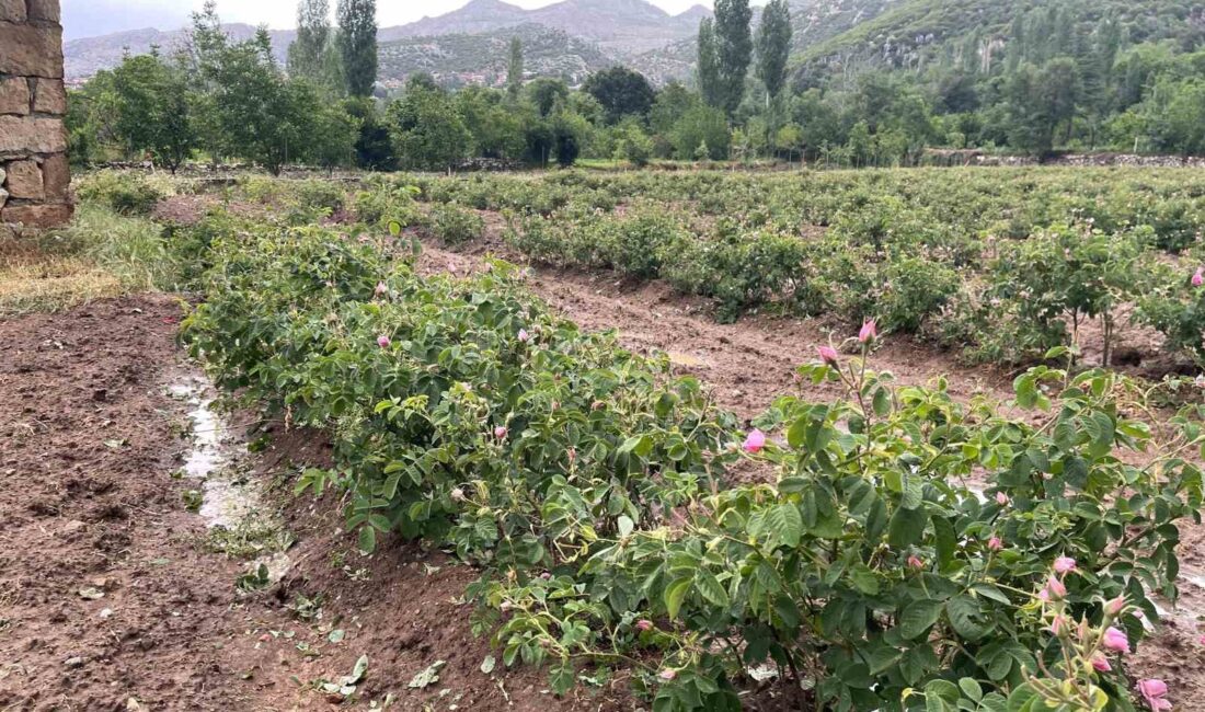 BURDUR’UN AĞLASUN İLÇESİNDE ÖĞLEDEN