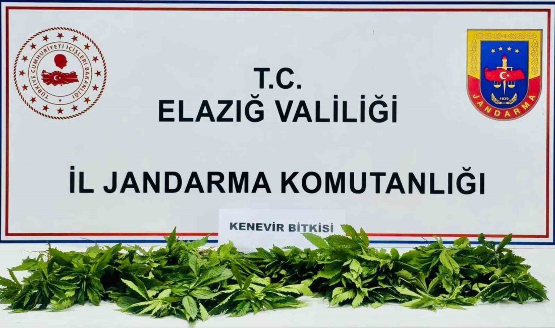 ELAZIĞ’DA JANDARMA EKİPLERİ TARAFINDAN