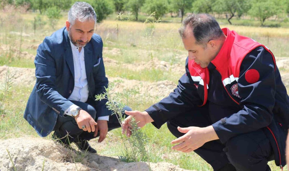 ELAZIĞ’DA MERALARDA ÇÖLLEŞMENİN ÖNÜNE