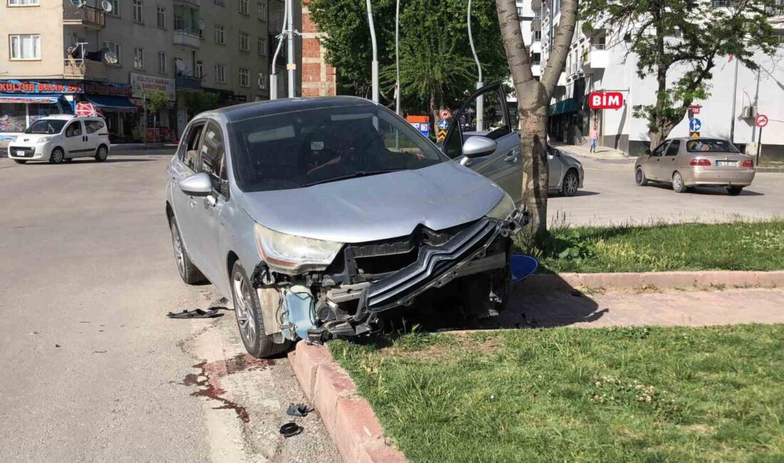 ELAZIĞ’DA SÜRÜCÜSÜNÜN KONTROLÜNDEN ÇIKAN