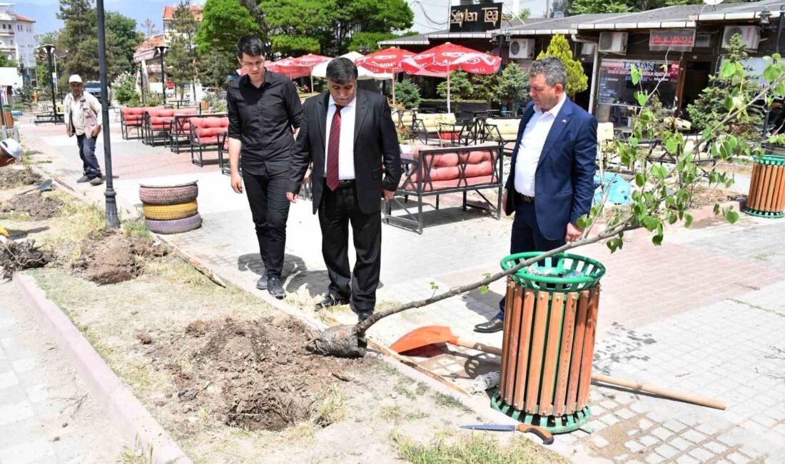 EMET HÜKÜMET MEYDANINDA BAKIM