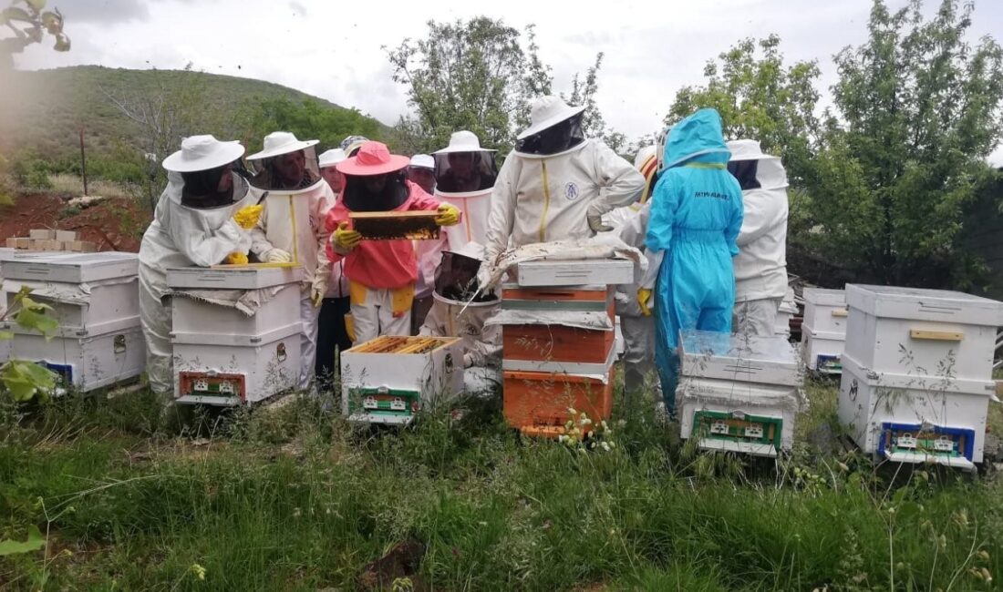 ERZİNCAN’DA KADINLAR YÜRÜTÜLMEKTE OLAN