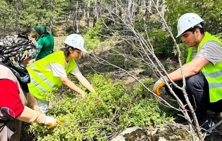 GEDİZ’DE ÜNİVERSİTE ÖĞRENCİLERİNDEN KARAÇAM