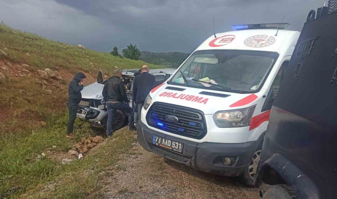 ŞIRNAK'TA DEVRİYE GEZEN POLİS