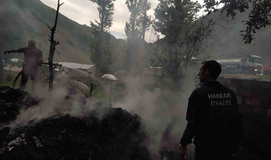 HAKKARİ’NİN KIRIKDAĞ KÖYÜNDEKİ BİR