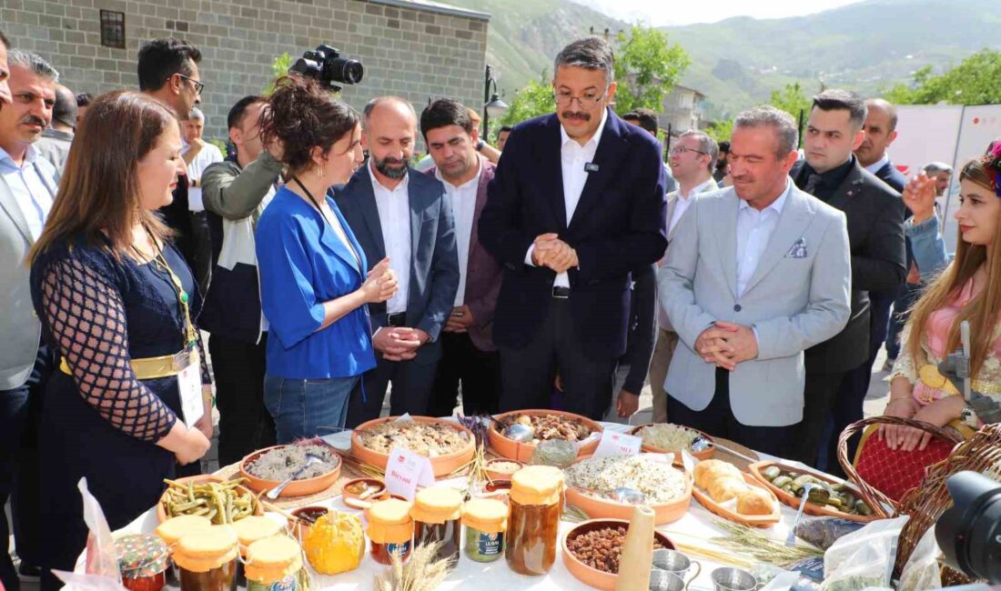 HAKKARİ İL VE İLÇELERDEN