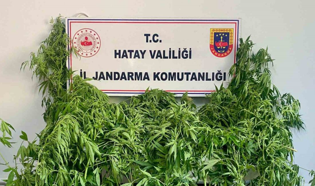 HATAY’DA JANDARMA EKİPLERİNİN GERÇEKLEŞTİRDİKLERİ