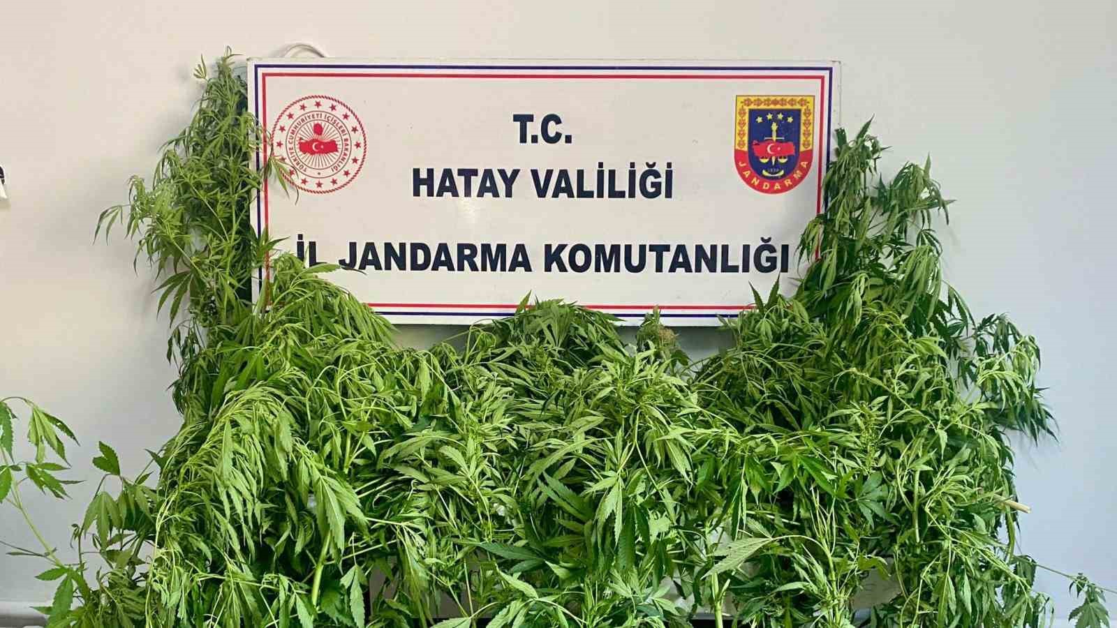 Hassas burunlu jandarma köpeğinin uyuşturucu bulduğu anlar kamerada