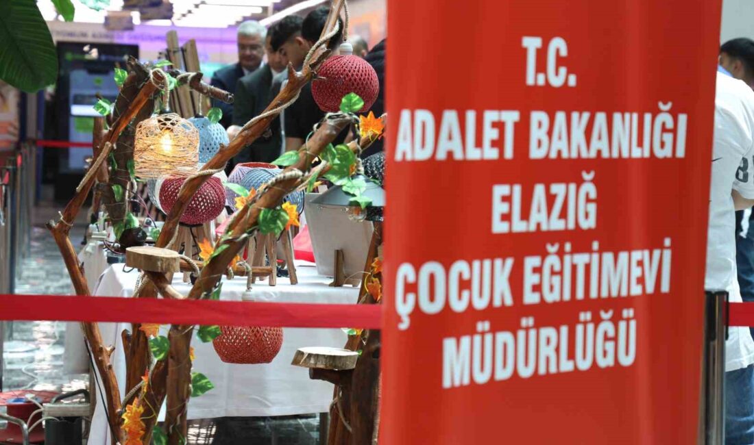 ELAZIĞ’DA ÇOCUK EĞİTİMEVİ MÜDÜRLÜĞÜ