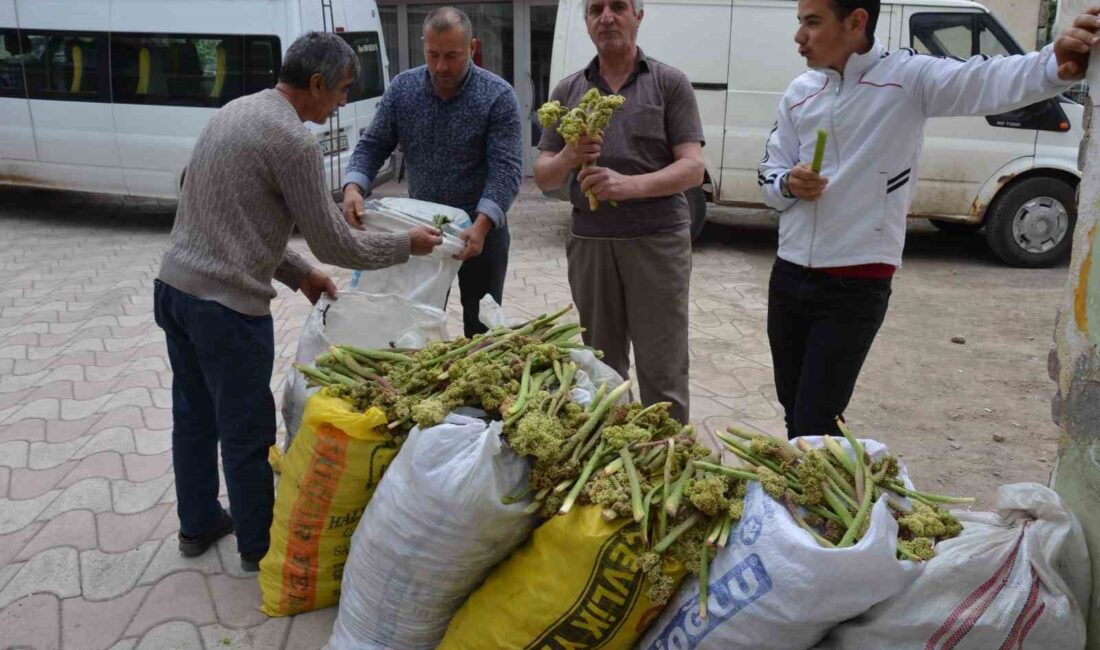 DOĞU ANADOLU BÖLGESİNİN YÜKSEK