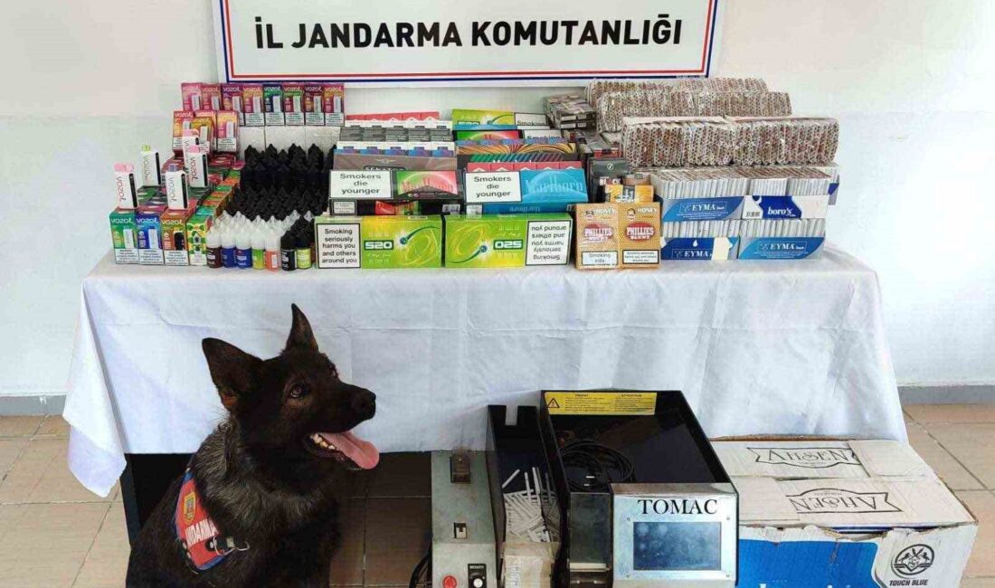 KAYSERİ’DE JANDARMA EKİPLERİ TARAFINDAN