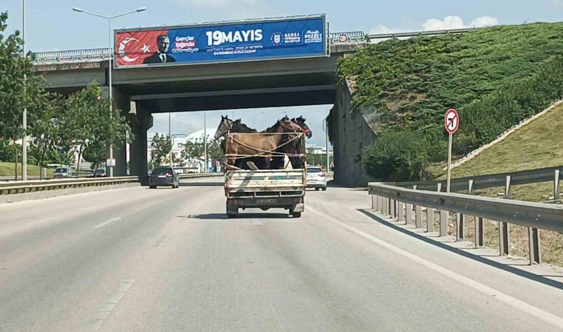 BURSA'DA KAMYONETİN KASASINA YÜKLEDİĞİ