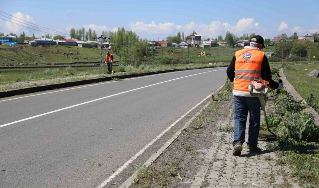 KARS’TA KALDIRIMLAR YABANİ OTLARDAN