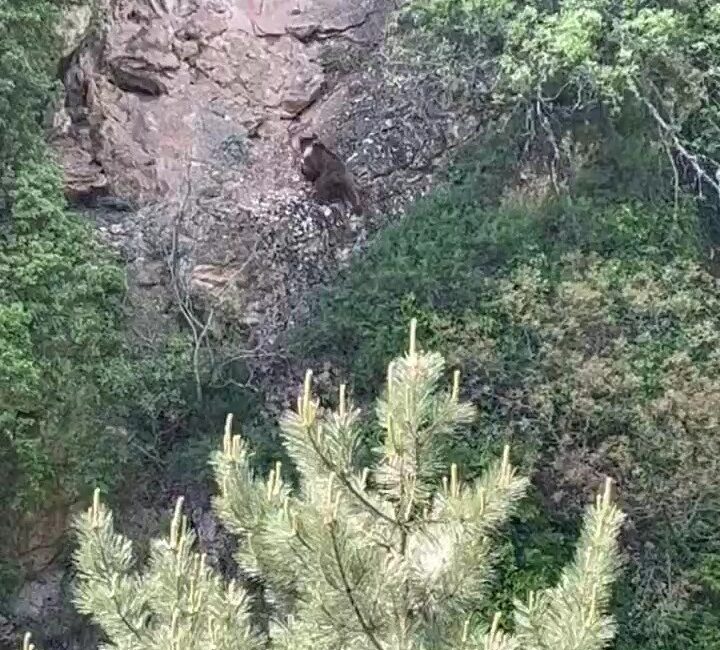 KARABÜK'ÜN SAFRANBOLU İLÇESİNDE AYININ