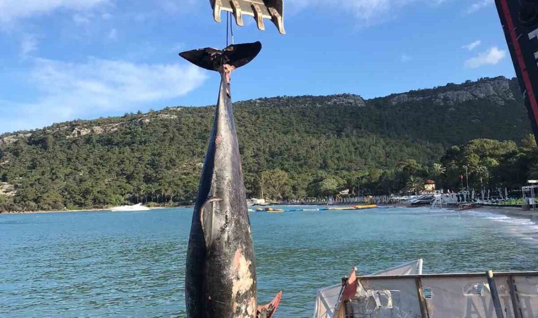 KEMER'DE YAKLAŞIK 3 METRE