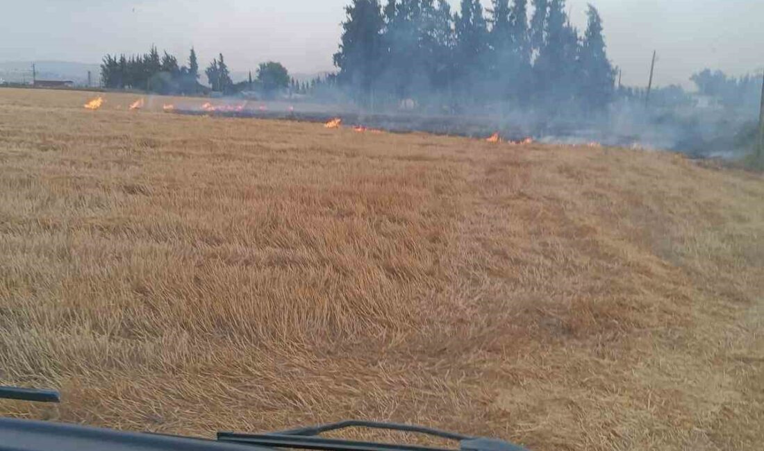 HATAY’IN KUMLU İLÇESİNDE MEYDANA